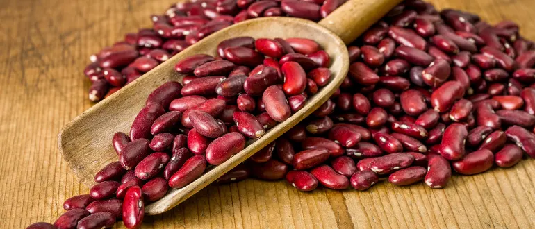 Kidney Beans